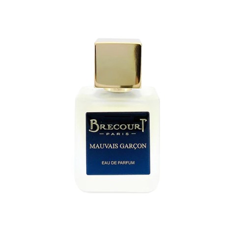 BRECOURT - MAUVAIS GARCON EDP
