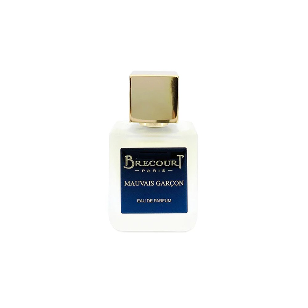 BRECOURT - MAUVAIS GARCON EDP