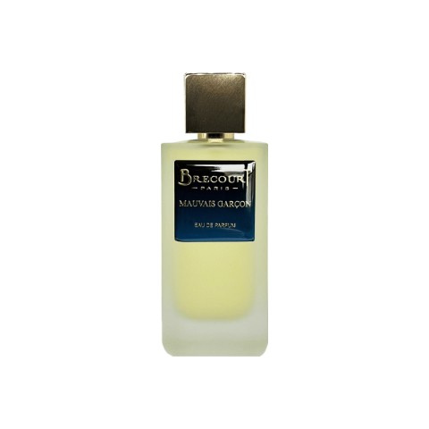 BRECOURT - MAUVAIS GARCON EDP 2
