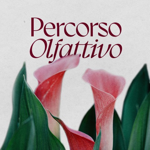 PERCORSO OLFATTIVO