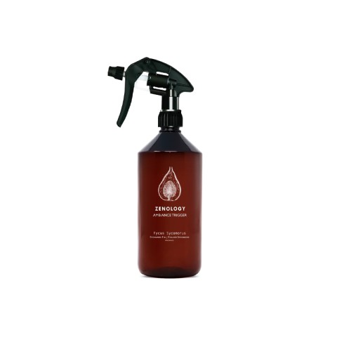 ZENOLOGY AMBIENTE - FYCUS