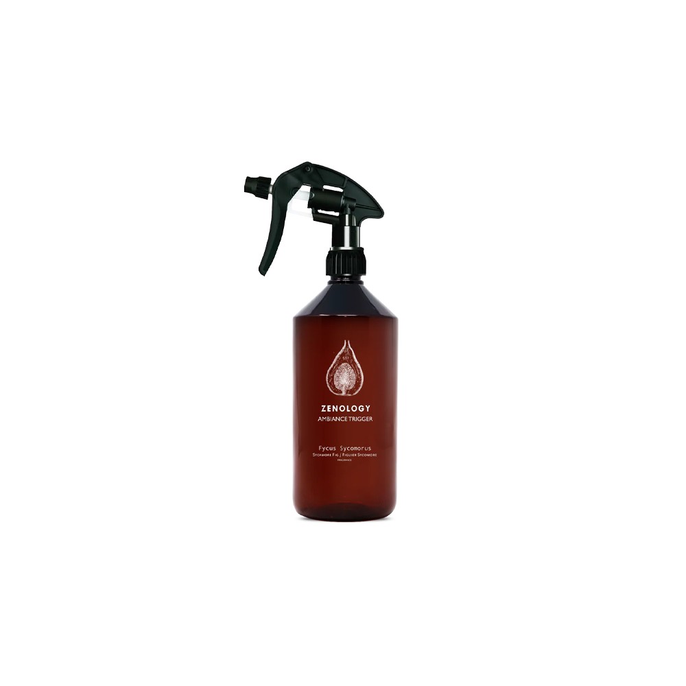 ZENOLOGY AMBIENTE - FYCUS