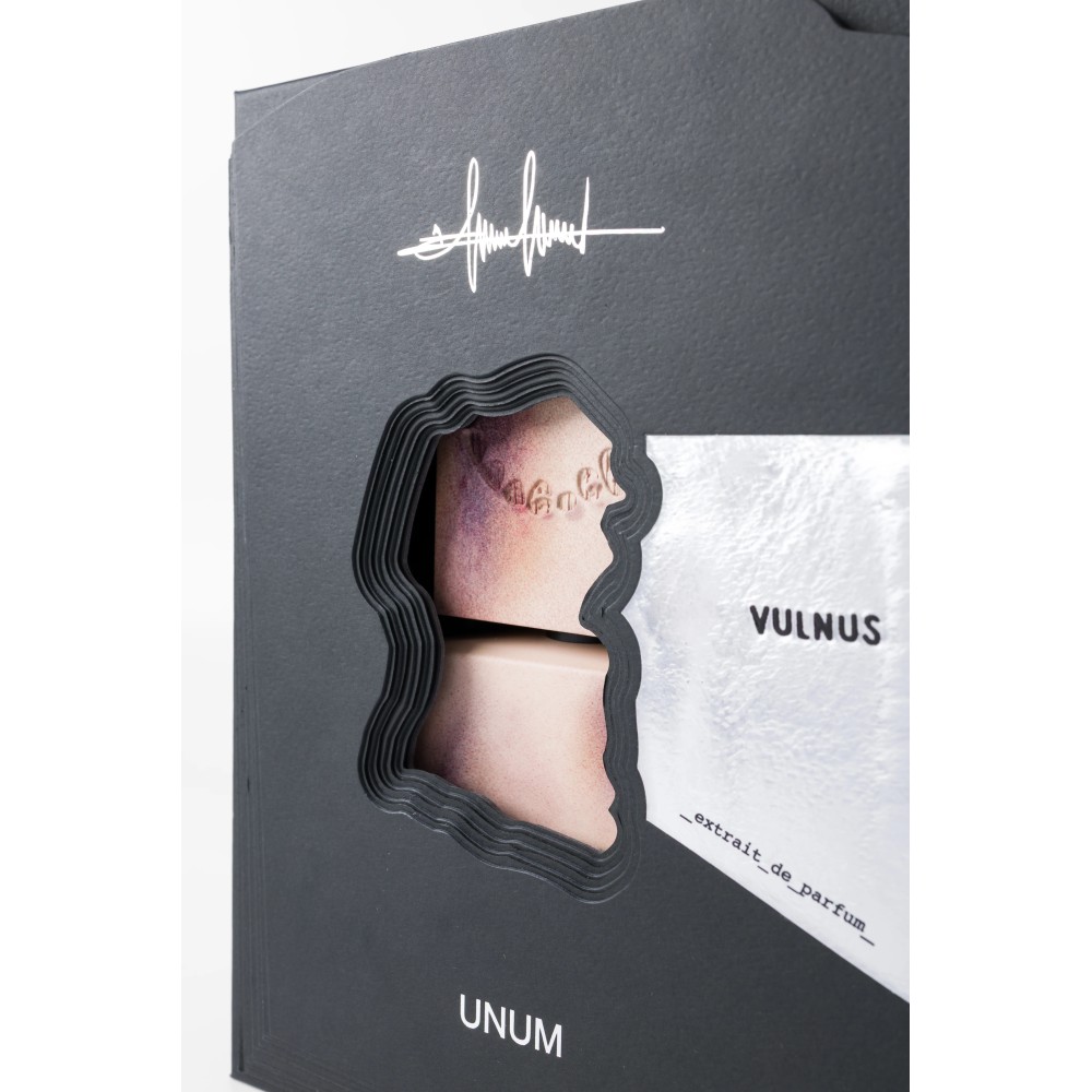 FILIPPO SORCINELLI - VULNUS EDP