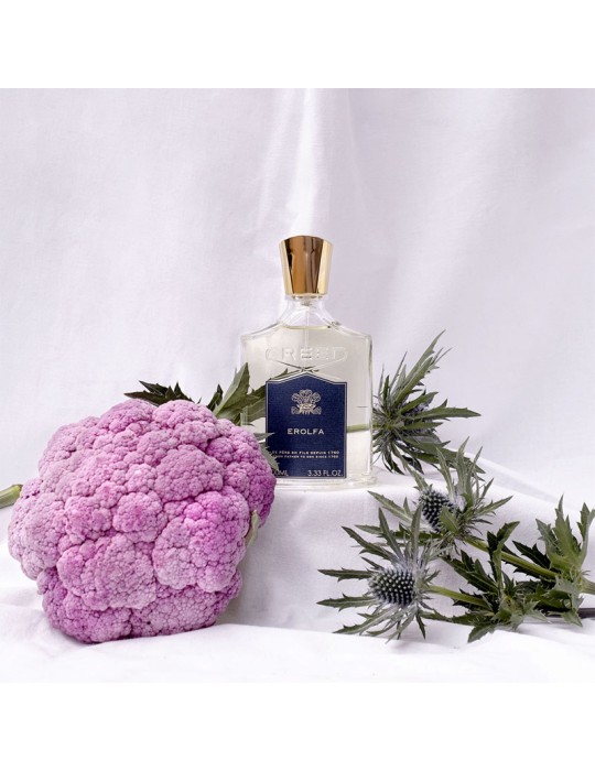 CREED - EROLFA EDP