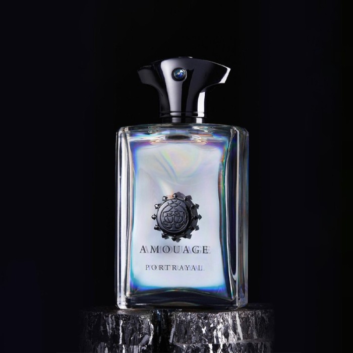 AMOUAGE - PORTRAYAL FOR MAN EDP