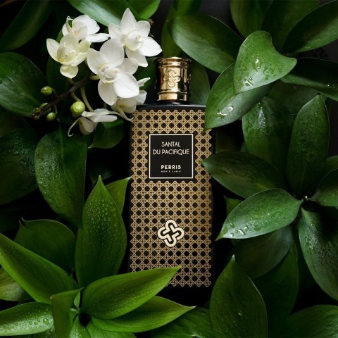 PERRIS MONTE CARLO - SANTAL DU PACIFIQUE EDP 2