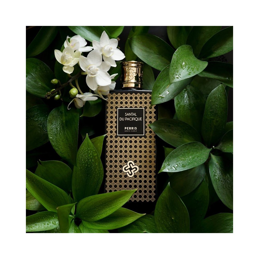 PERRIS MONTE CARLO - SANTAL DU PACIFIQUE EDP