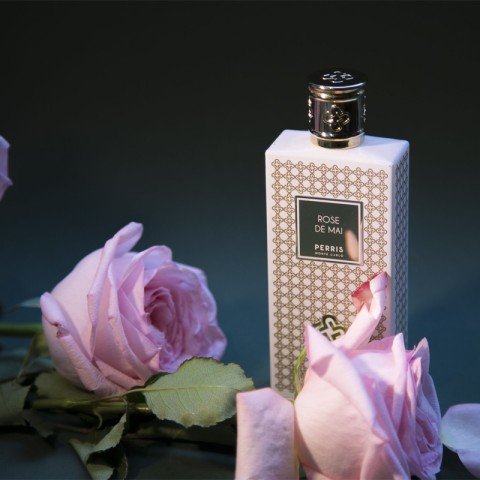 PERRIS MONTE CARLO - ROSE DE MAI EDP 2
